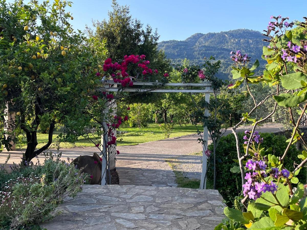 Cas Puput Mallorca Soller Exterior photo